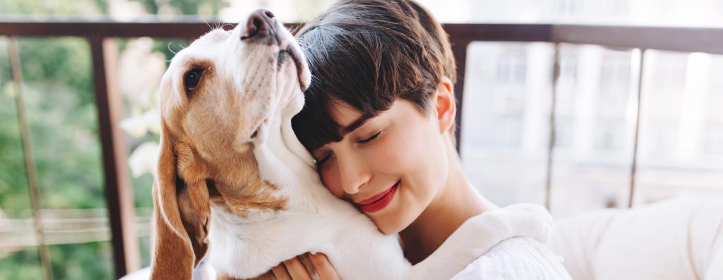 alarma perro mascota
